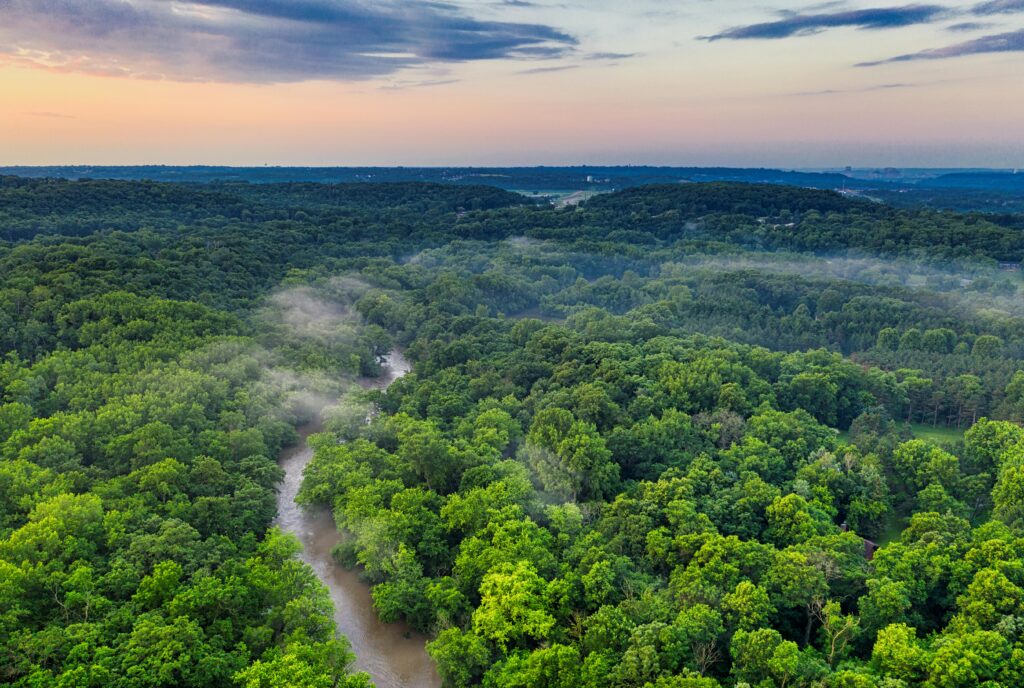 A scenic view of the Amazon River cutting through dense rainforest, with tranquil water reflecting the greenery and sky above.