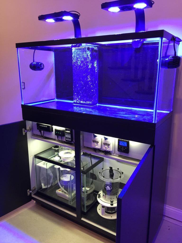 Reef tank setup with visible sump system and filtration equipment, including a protein skimmer, return pump, and heaters, beneath the main aquarium for efficient marine tank care.